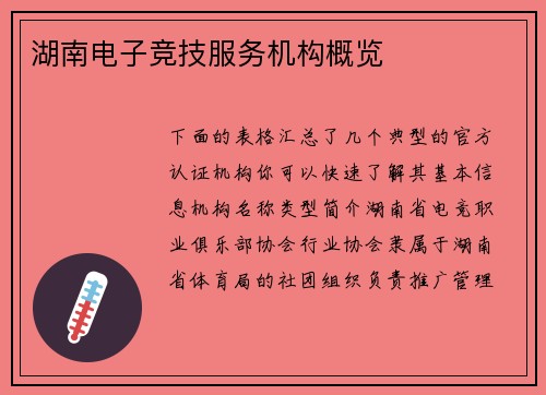 湖南电子竞技服务机构概览